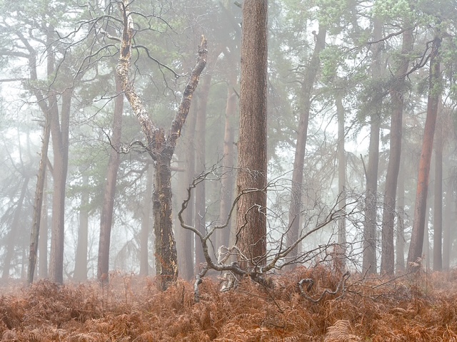 DSC00534-Edit-Edit-Edit